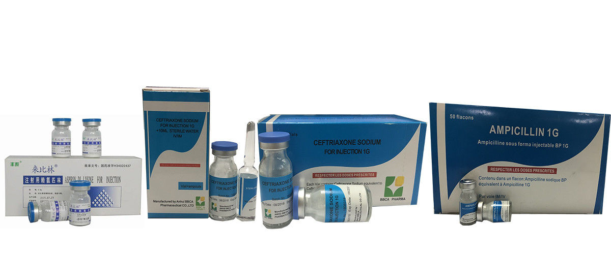 Amoxicillin 125mg price