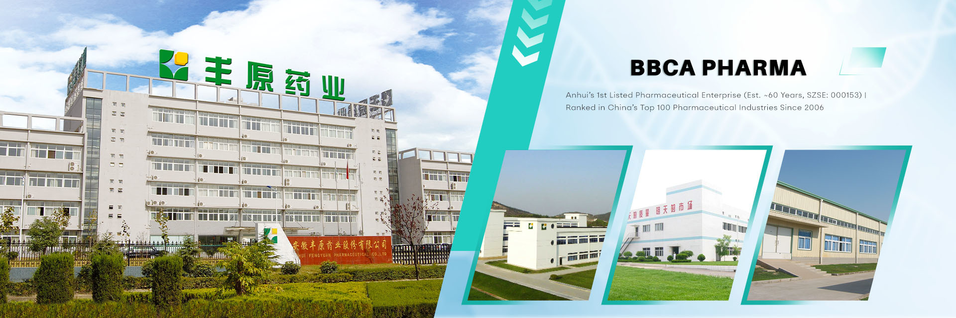 quality Active Pharmaceutical Ingredient factory