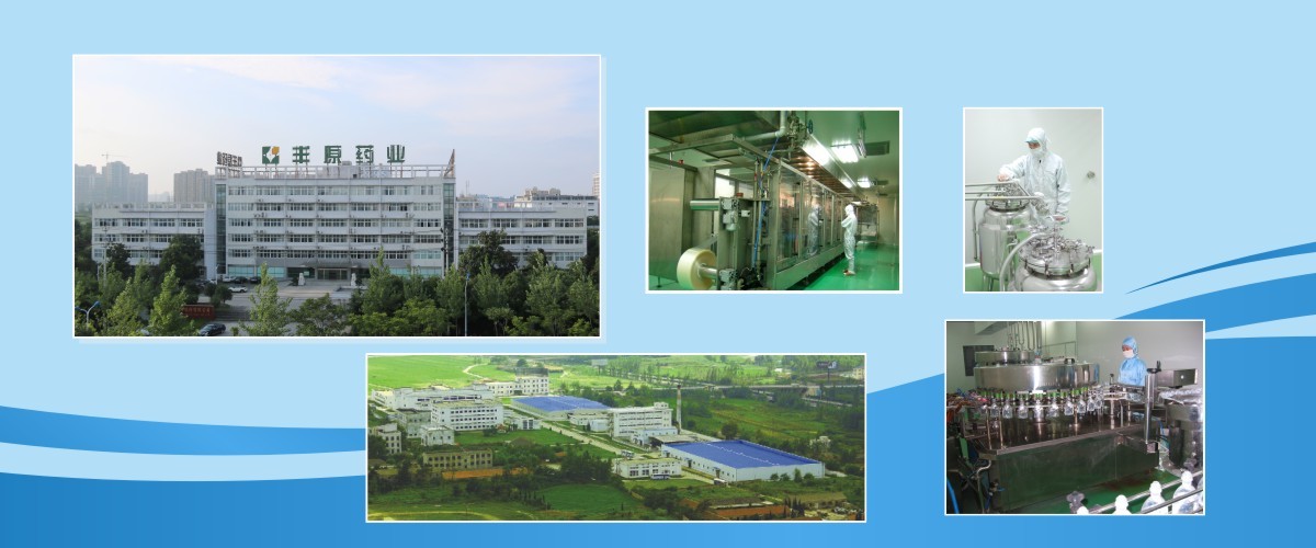 quality Active Pharmaceutical Ingredient factory