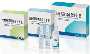 GMP Certified Powder For Injection Clindamycin Phosphate Injection