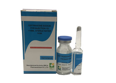 Surgery Ceftriaxone Sodium Injection Powder 1G / 0.5G GMP Certification