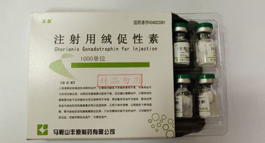 Chorionic Gonadotrophin For Injection, HCG ,White Powder, USP Standard