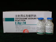 Powder for Injection GMP Certified Cefotaxime Sodium for Injection