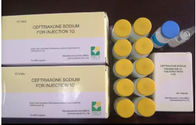 Powder For Injection Surgery Ceftriaxone Sodium Injection Powder 1G / 0.5G