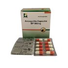 GMP Pharmaceutical Amoxycillin Capsules 500 Mg