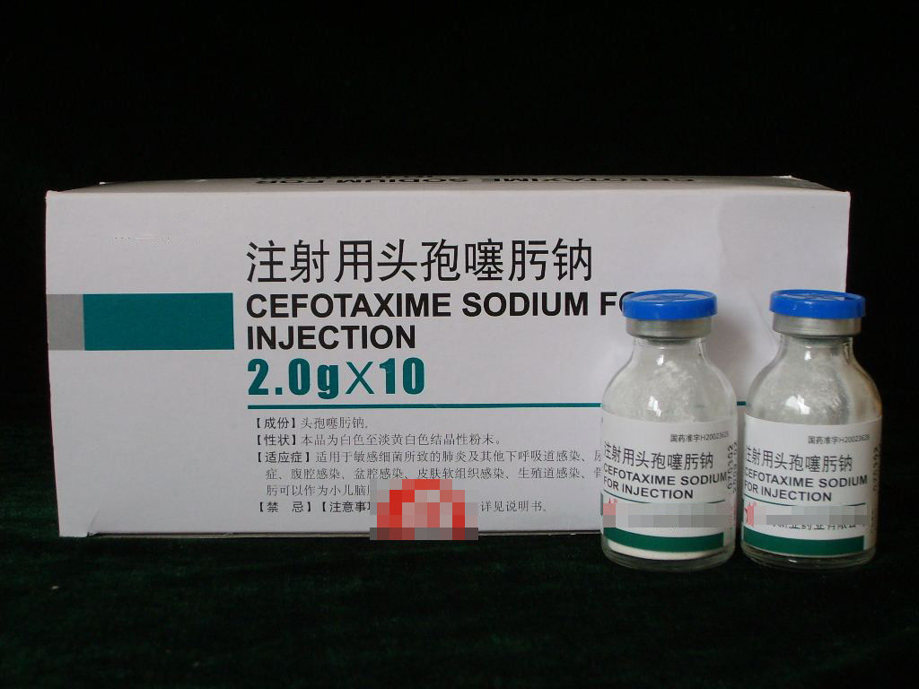 Powder for Injection GMP Certified Cefotaxime Sodium for Injection