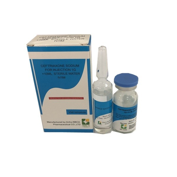 Ceftriaxone Sodium Powder For Injection 1G Sterile Water 10 ML Medical